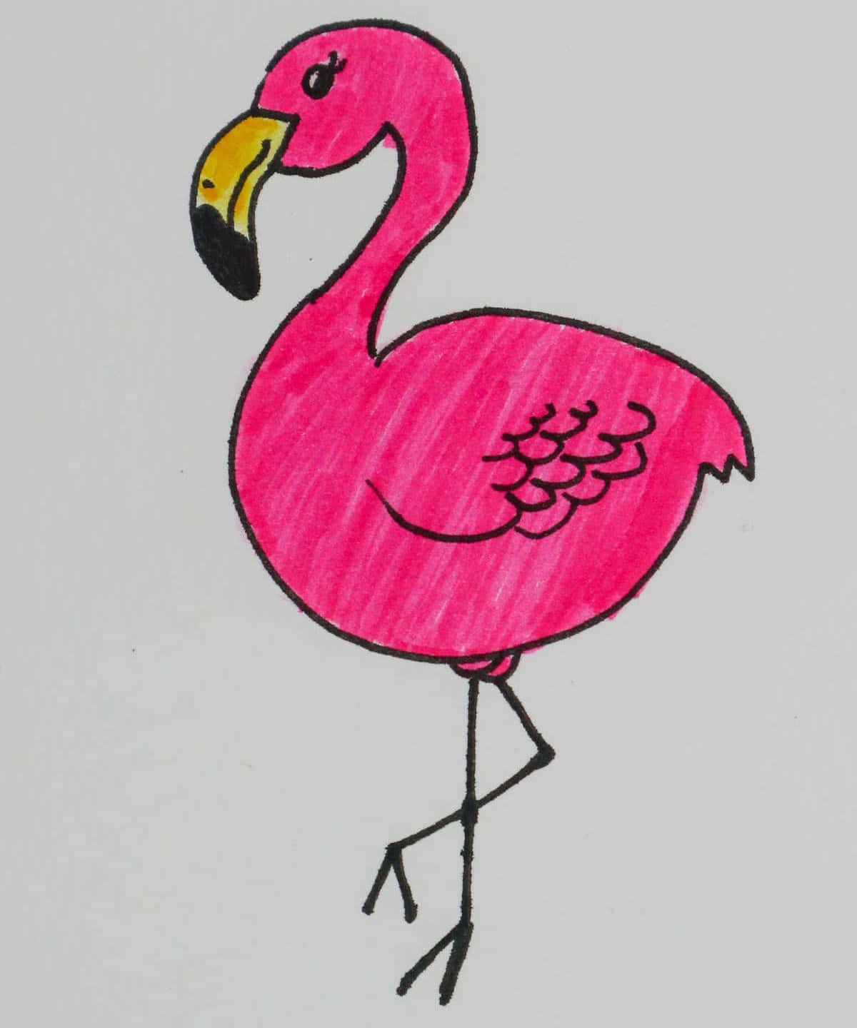 Flamingo