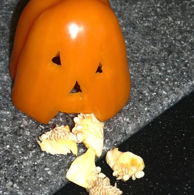 Throwing Up Pumpkin Centrepiece