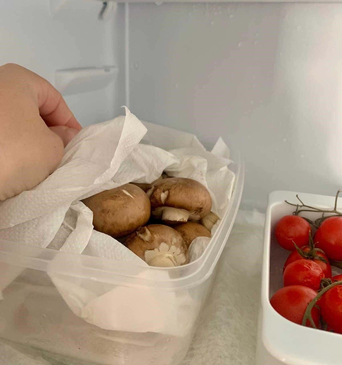 Pat Dry the Vegetables After Washing