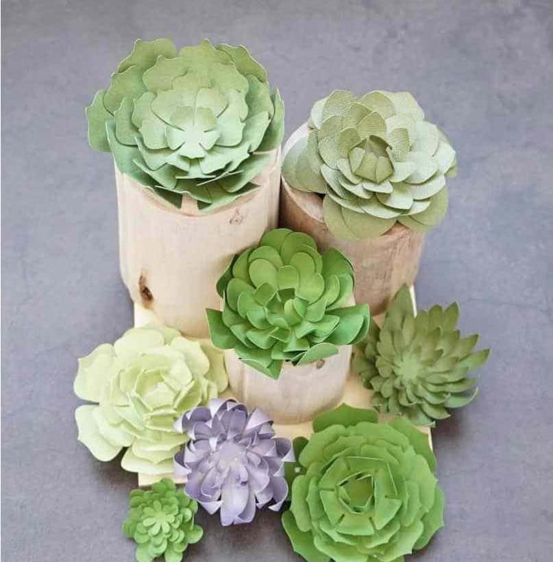 DIY Paper Succulents