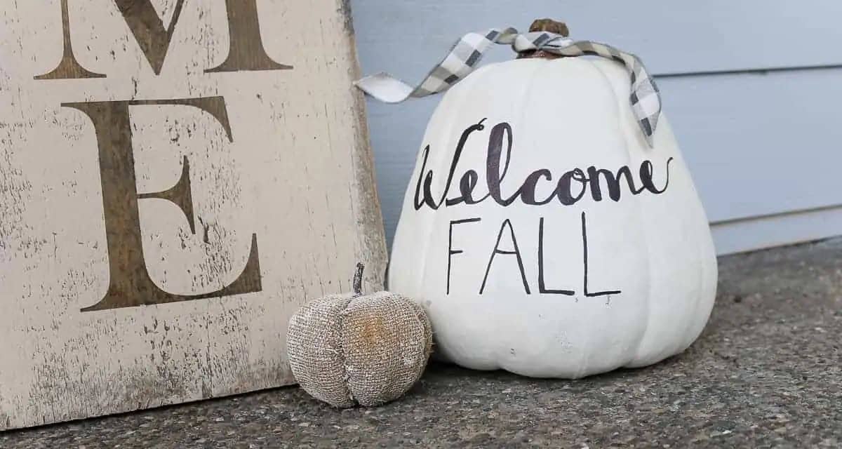 White Pumpkin Decor