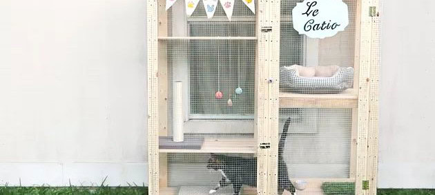 DIY Outdoor Cat Lounge