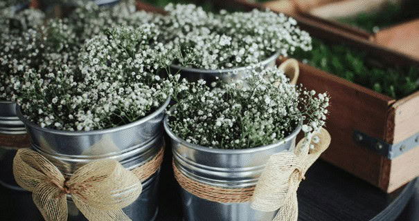 SOCKER Plant Pots for Flowers