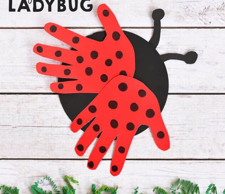 Recycled CD and Handprint Ladybug