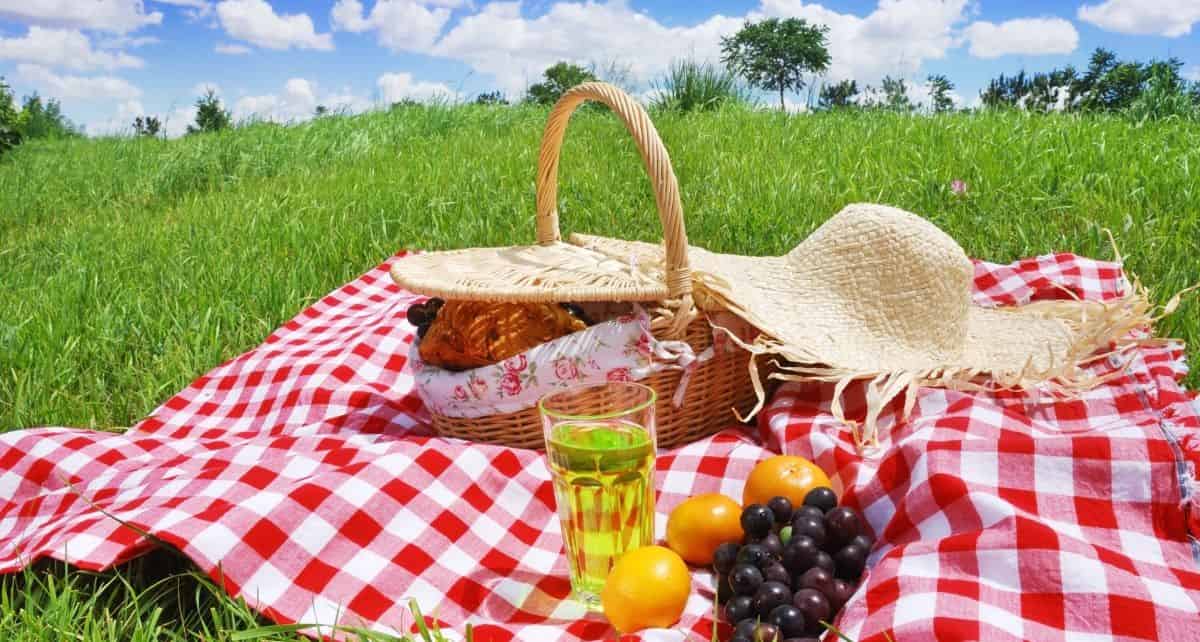 Have a Picnic