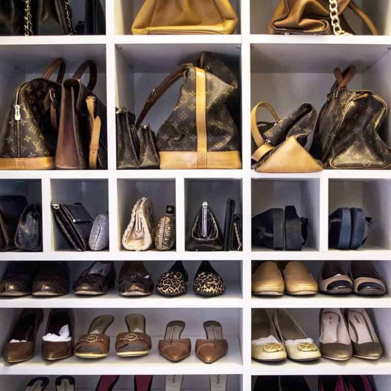 Purse and Shoe Accessory Storage