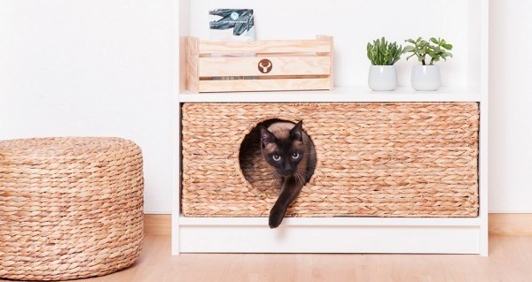 Cat Shelf “Basement” Cubby