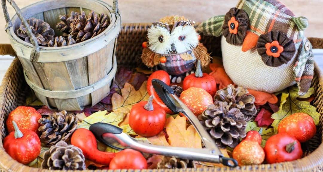 Pinecone Thanksgiving Sensory Bin