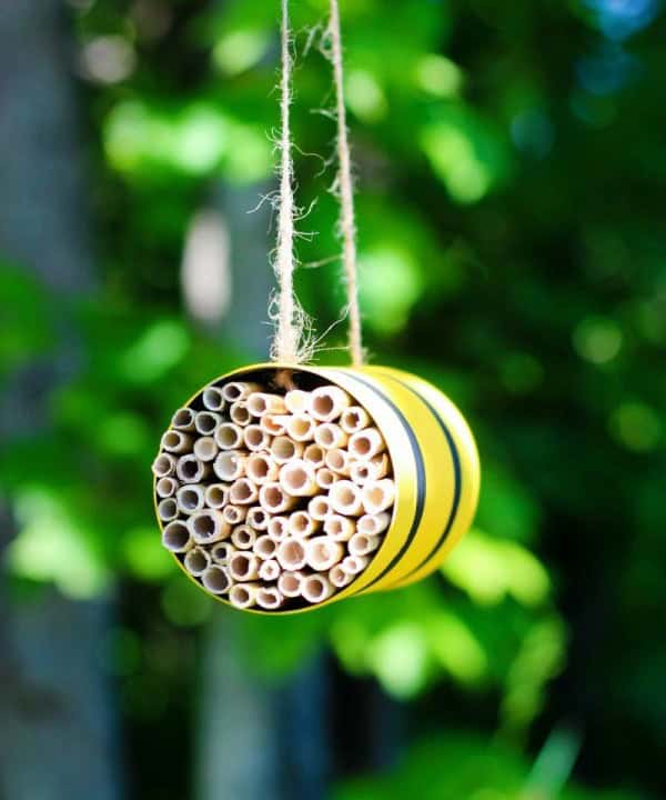 DIY Mason Bee Habitat