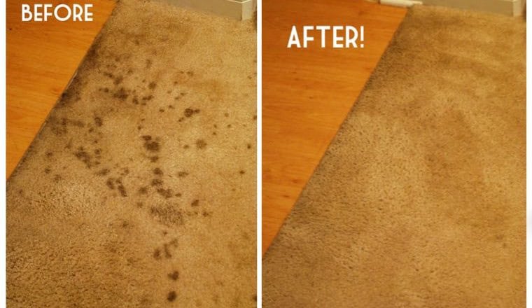 Carpet Clean-Up