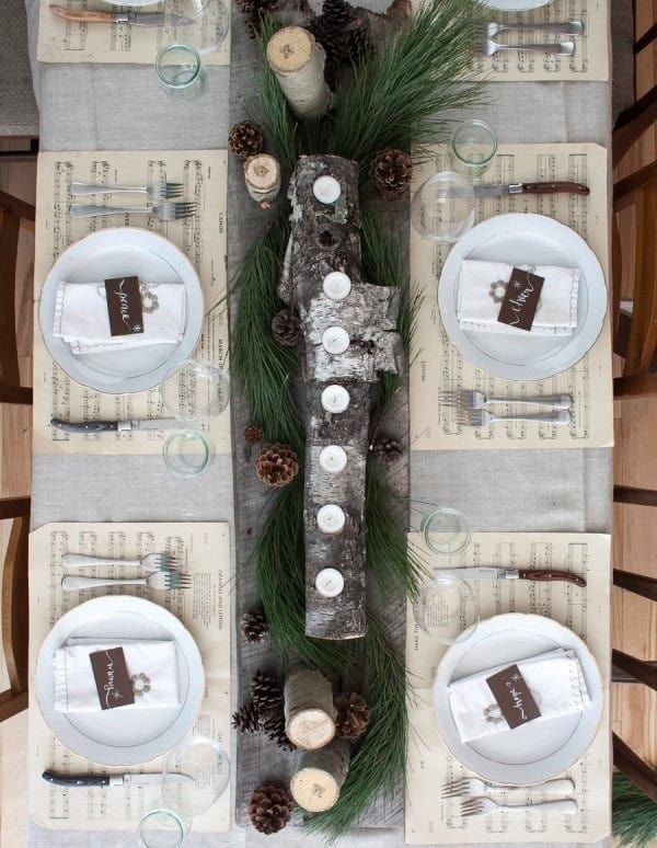 Rustic Pinecone Display