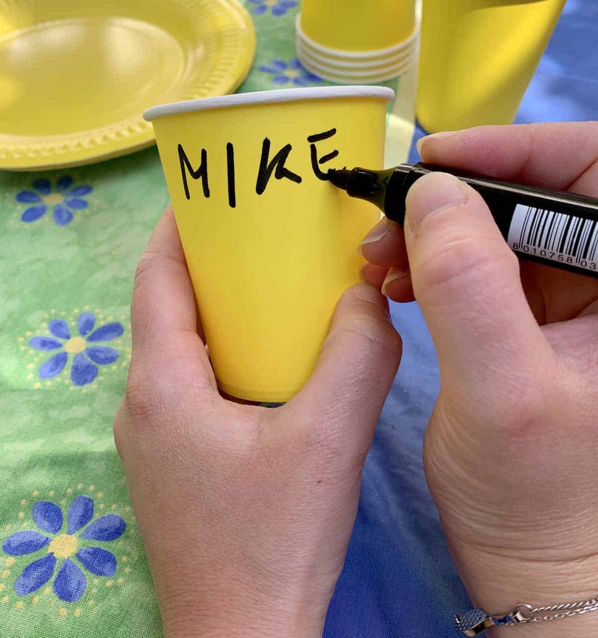 Pens to Personalize Cups