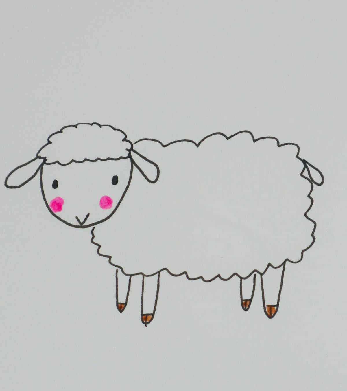 Sheep