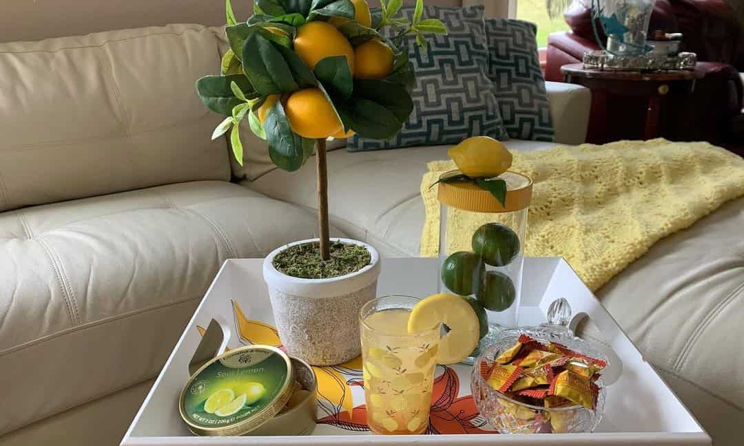 Potted Lemon Tree On A Tray