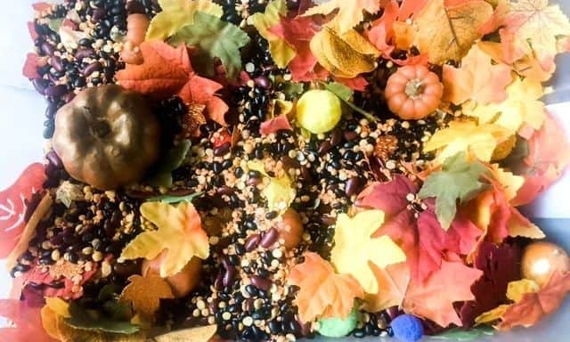 Fall Sensory Bin