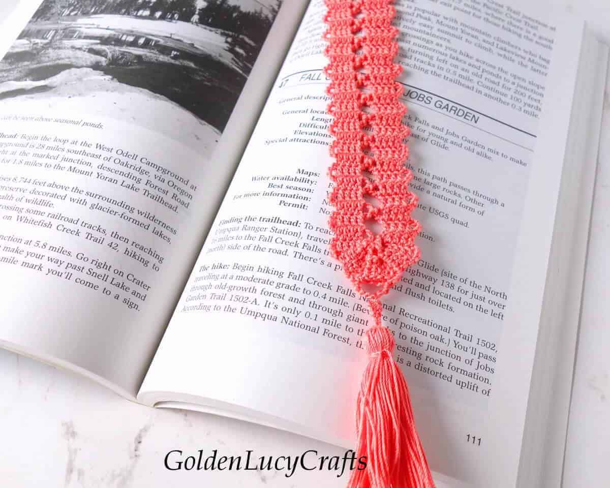 Crochet Bookmark