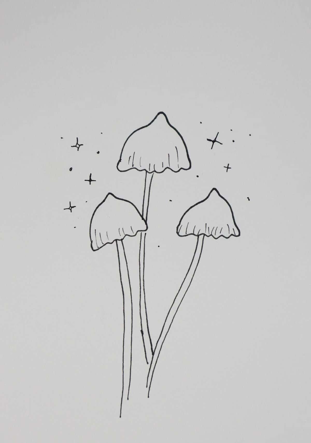 Mushrooms in the Night