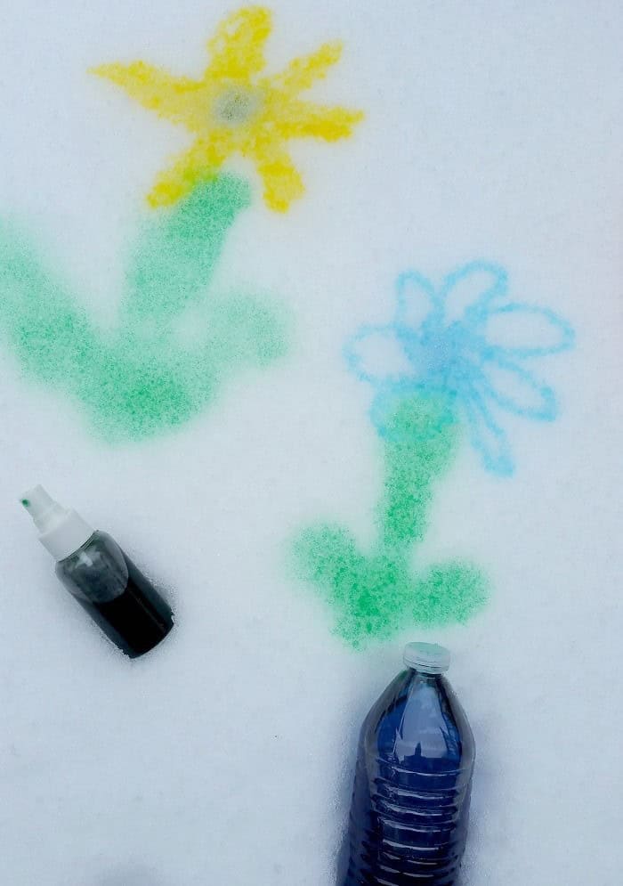 Snow Flowers