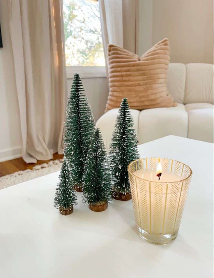 MINI BOTTLE BRUSH TREE SET