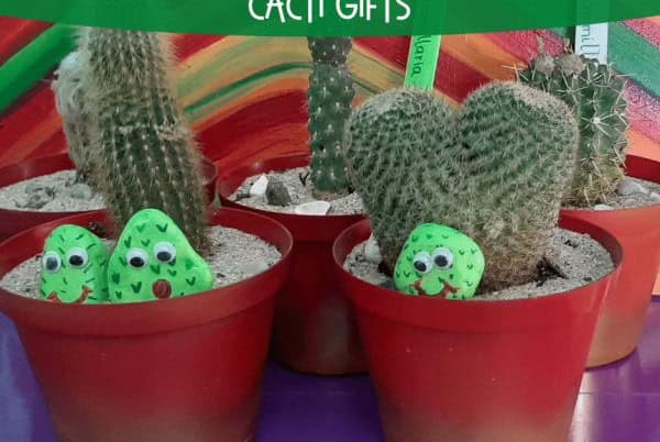 Cacti Gifts