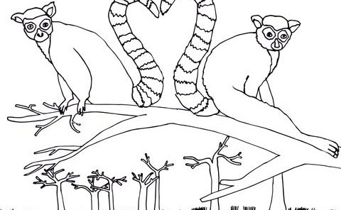 Safari Animal Coloring Pages