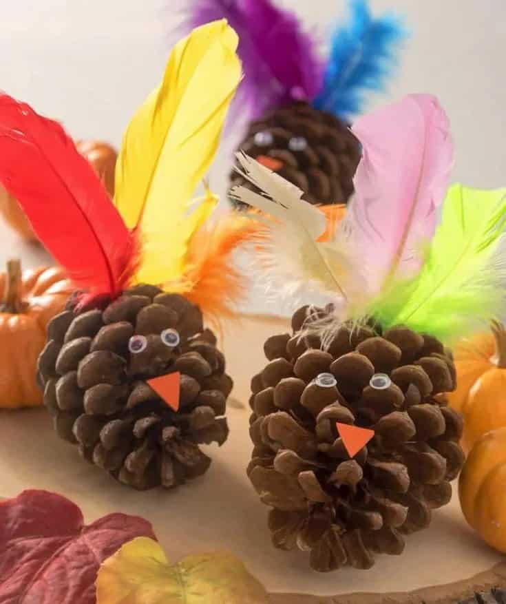 Pinecone Turkey