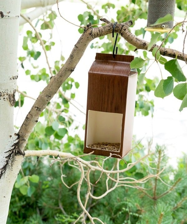 DIY Milk Carton Bird Feeder