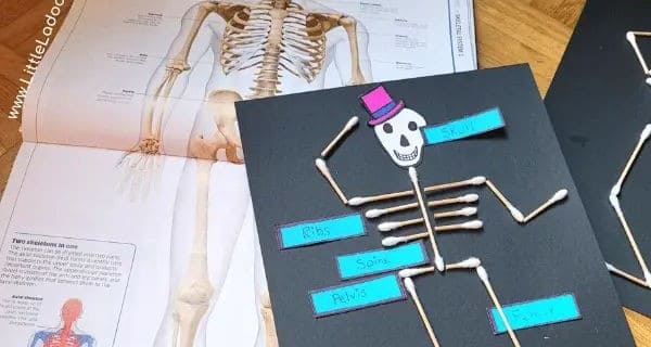 Q-Tip Skeleton