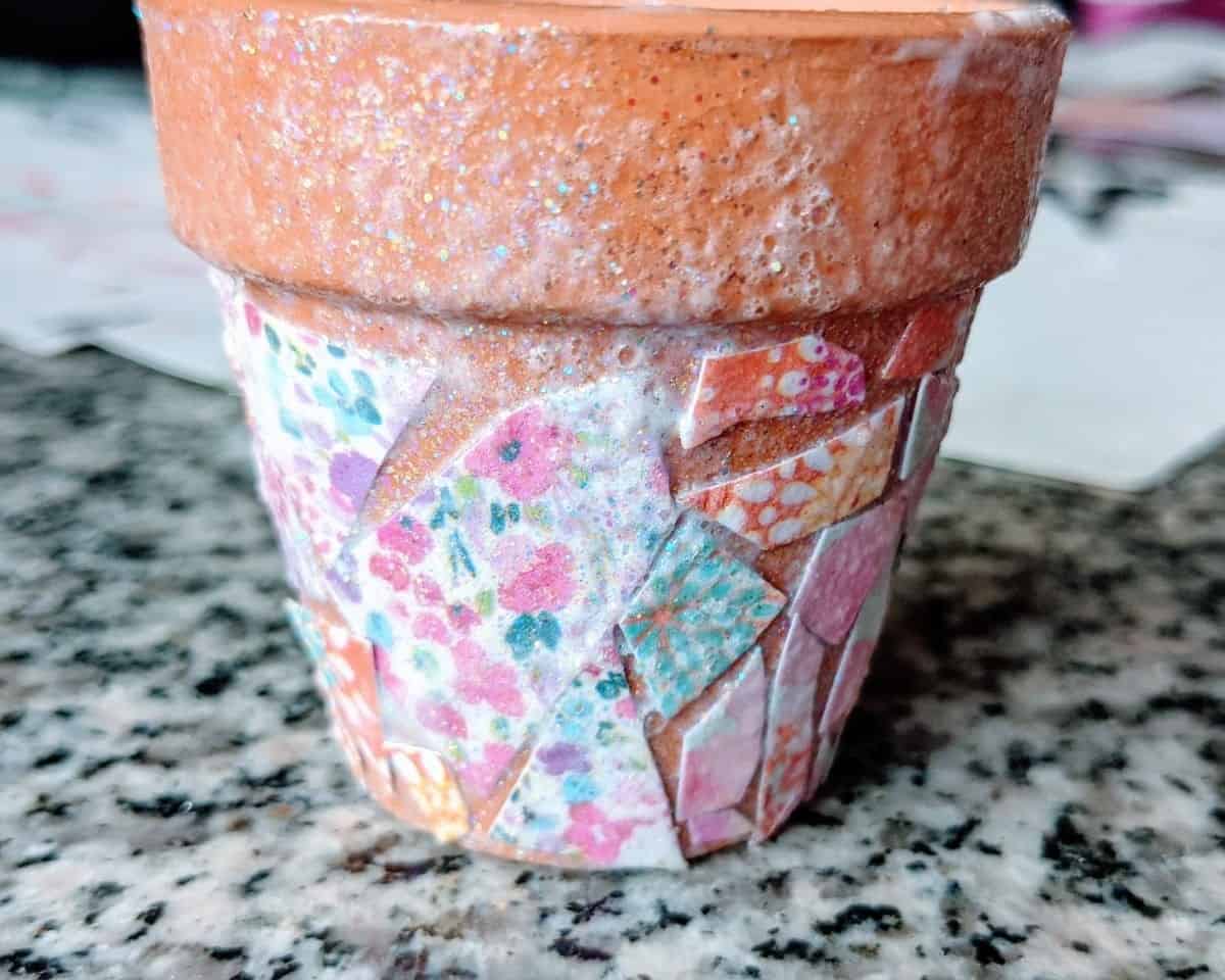 DIY Flower Pot Craft