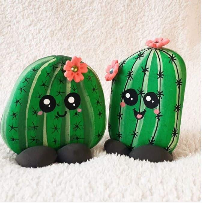 CACTUS ROCKS