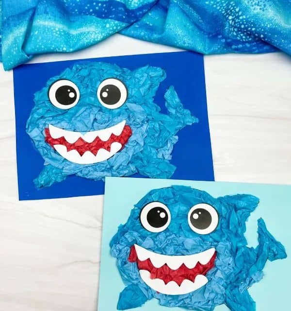 Tissue Paper Shark