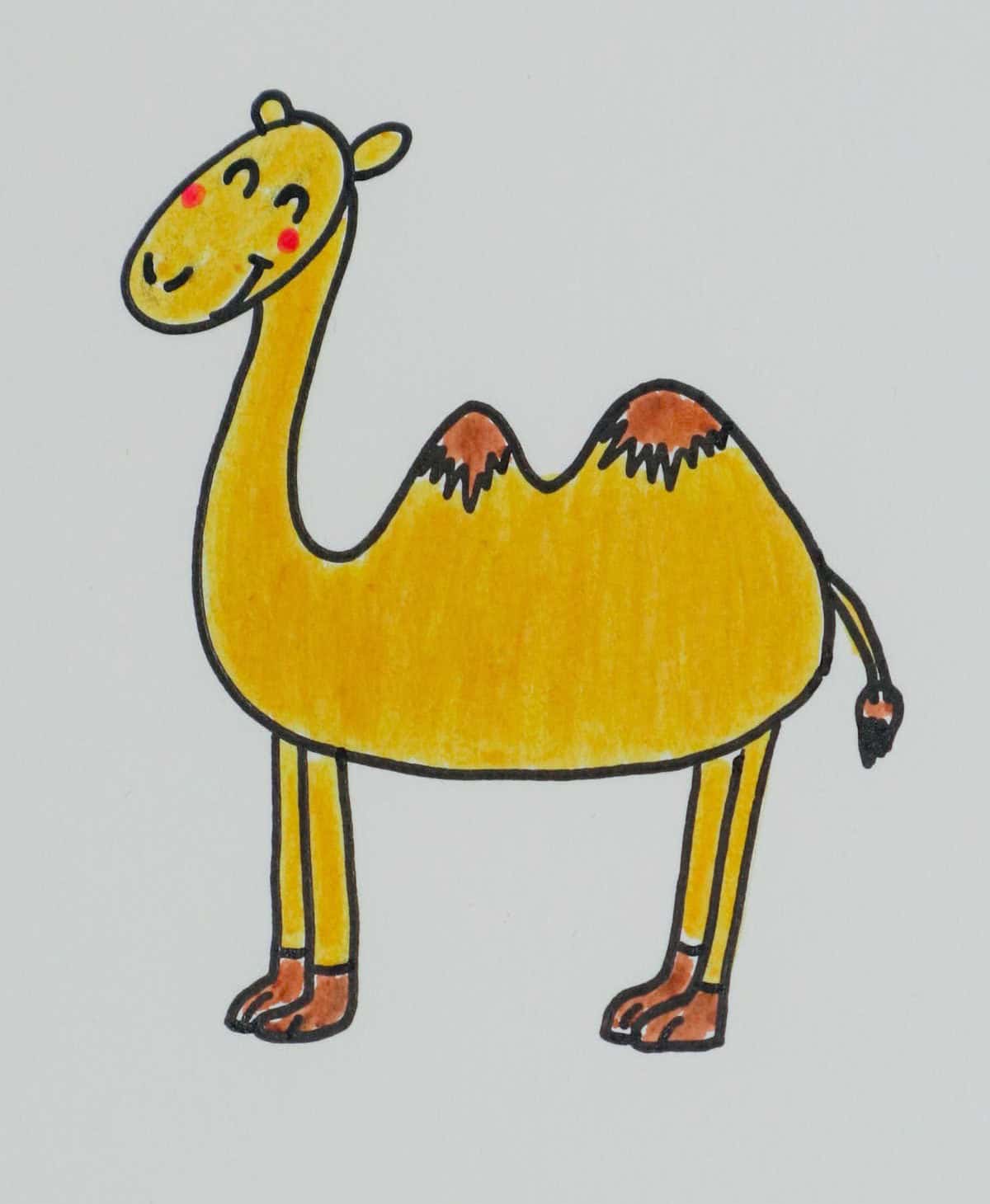 Camel