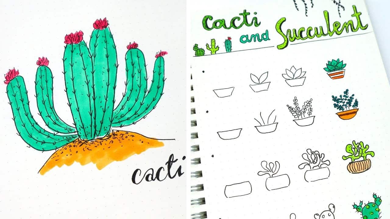 25 Succulent and Cactus Doodle Ideas for Bullet Journals