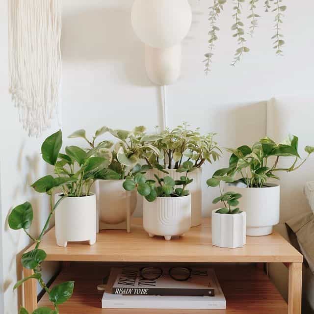 Bedside Table Display