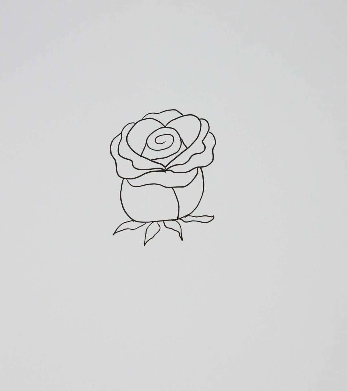 Simple Sketched Rose