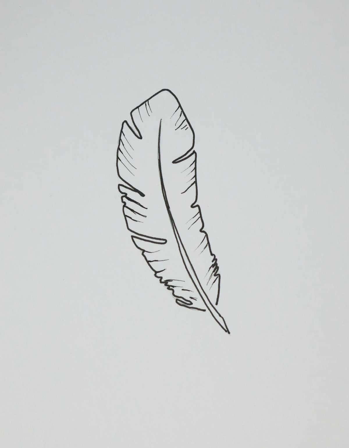 Minimalist Feather