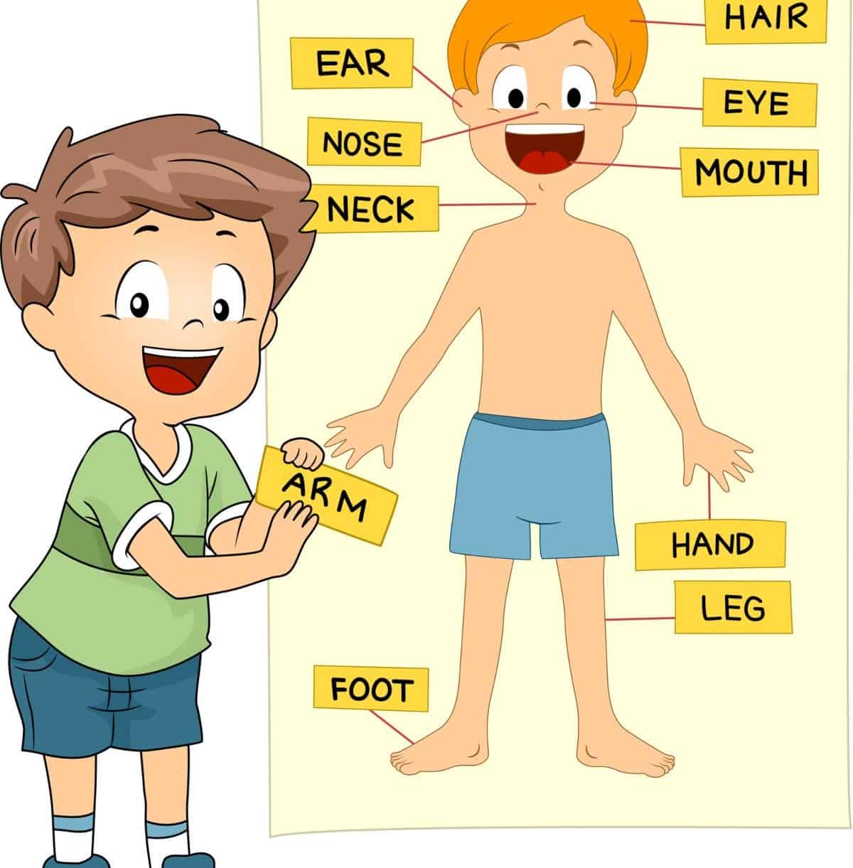 Body Parts Matching Activity