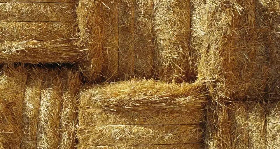 Straw Bale Compost Bin