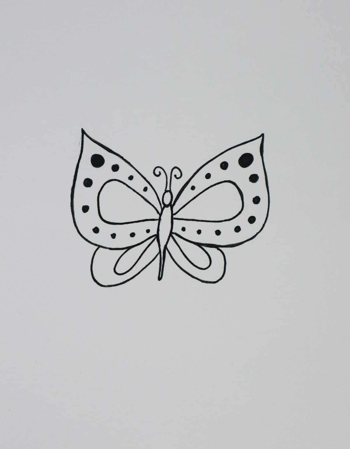 Polka-Dotted Butterfly