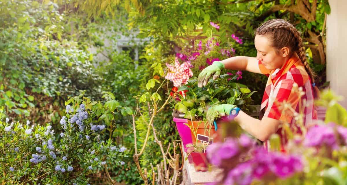 Try Gardening