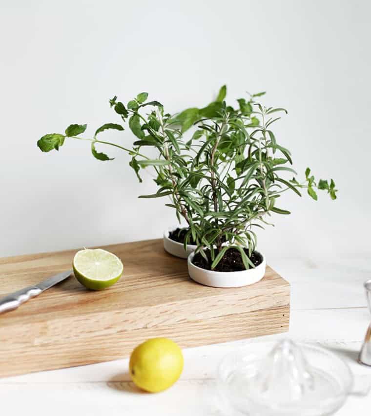 DIY Herb Planter Cutting Board