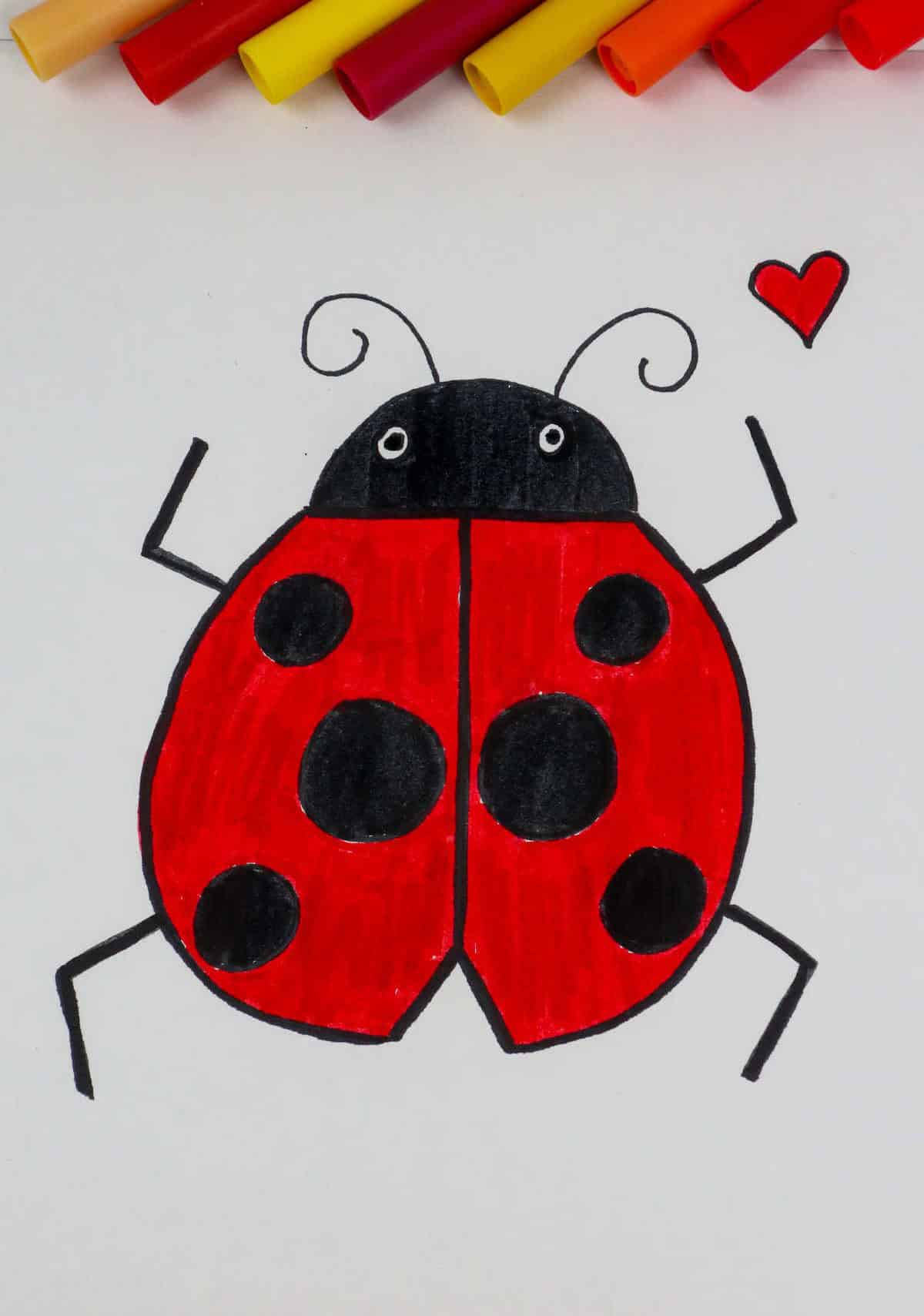 Ladybug