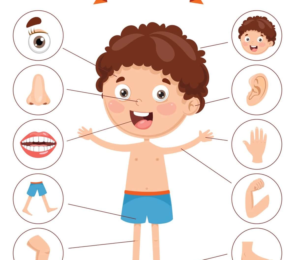 Body Parts Printable Activity