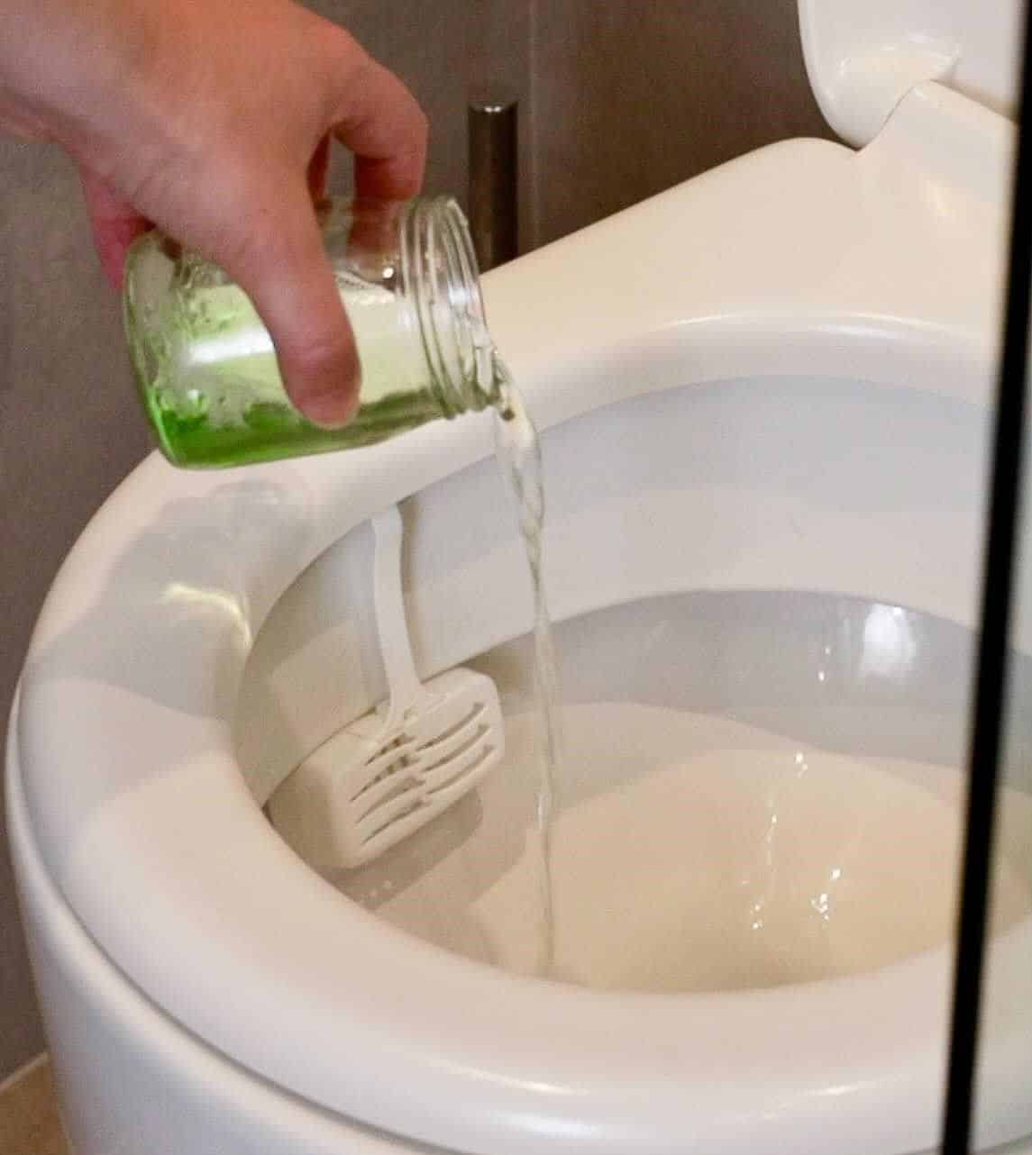 Add Dish Soap to Toilet