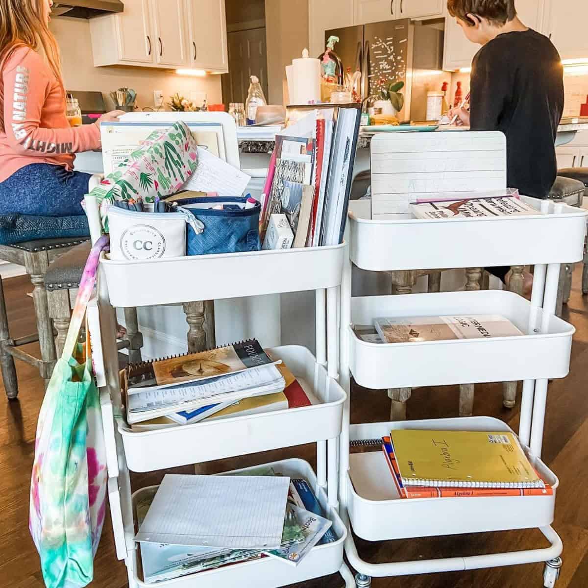 Homeschool Cart