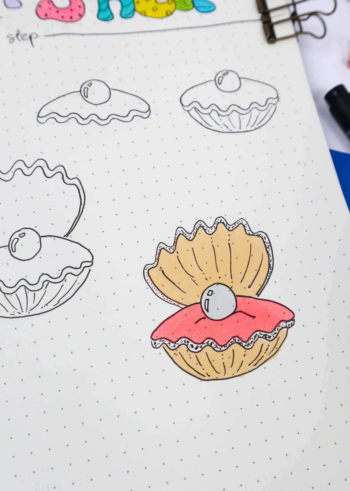 How to Draw a Shell