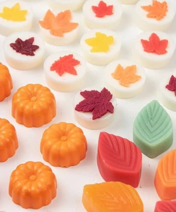 Fall Wax Melts