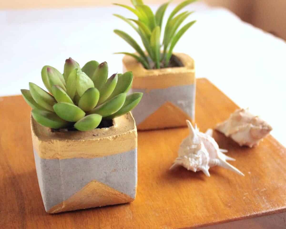 Concrete Succulent Planters