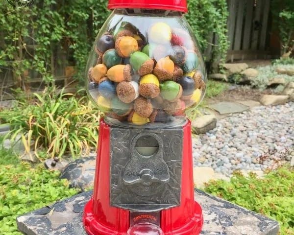 DIY Acorn Craft