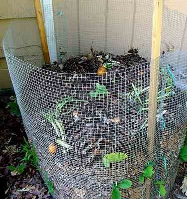 Compost Bin For Kitchen Scraps